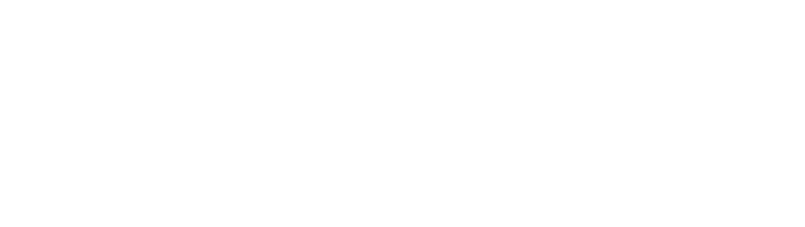 MatchPoint White Logo